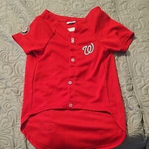 Official MLB Washington Nationals Pet Jersey for Dogs & Cats